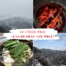 산촌버섯마을 | 춘천 명월마을 후기｜숲 산책·불멍·식사까지 알찼던 힐링 일정