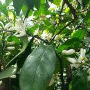 이혁농장 이미지