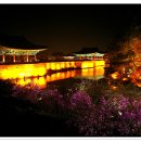 경주 - 김해시 가야로 287 | 경주