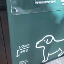 에스에이에스 | 구리 카페 스타벅스 애견동반 구리갈매DT 펫존 후기