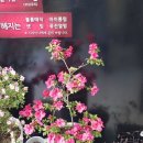 이정희헤어 - 창원시 마산회원구 | 이정희헤어