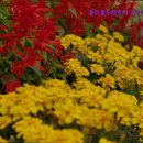 동아렌트카 이미지