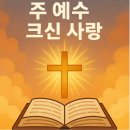 205 이미지