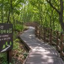 태청산 편백나무숲 트레킹길 | 서울 유일 편백나무숲, 봉산 무장애 숲길 트레킹 코스