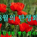 🌺8월의 탄생화(八月의 誕生花) - 🎶썸머 와인(🎤노래 : 라나에로스포) 이미지