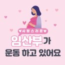 (야간)명상과 요가 | [공지] [답십리 필라테스/ 답십리 플라잉요가]임산부 주수별 맞춤 운동법의 모든 것!