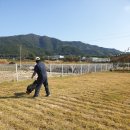 퍼피빌리티 이미지