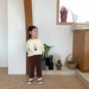 리틀베어 이미지
