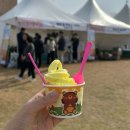 돈치킨&치킨나라오성점 | 2년 연속 방문! 평택농업생태원 (개화 상태, 방문 전 알아두면 좋은 팁)