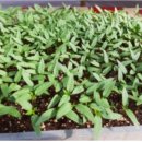 사곡농장 이미지