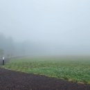 기린 캠프랜드 이미지