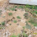 (주)황금농장 이미지