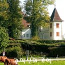 상스(SAENS) 이미지