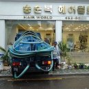차미용실 이미지