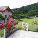 잣나무집정원 이미지