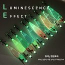 비다컴퍼니 이미지