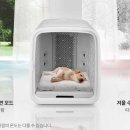 드라이세상 이미지