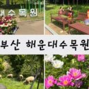 민트플레이 해운대 이미지