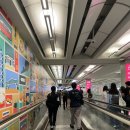 BEAN S KING | 5060 부모님과 4박 5일 홍콩 &amp; 마카오 여행기 꿀팁 1편 (호프웰 호텔, 드래곤킹딤섬, 마미팬케이크...