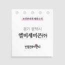 엘비세미콘(주)