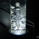 제이엠팜 이미지