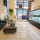 퍼피하우스 인천송도점 이미지