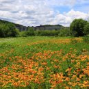 좌상바위 이미지