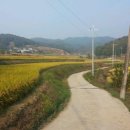 영농조합법인봉암참새방앗간 이미지