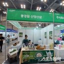 삼백농산 풍경원 스포츠동아
