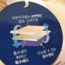 비비안전주점