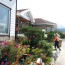 본가갈비탕 이미지