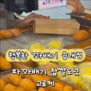 88찹쌀꽈배기도넛츠 | 행복한 꽈배기 읍내점 파꽈배기 찹쌀도넛 고로케 후기