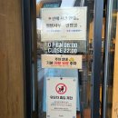 엑스포로2 | 성심당 DCC점 빵 종류 가격 꿀팁 총정리(+말차튀소 후기)