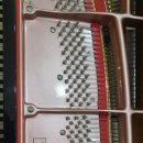 청주성모병원 이미지