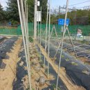 기용농장 이미지