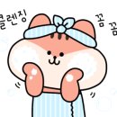 에이치스테이(H.stay) 이미지