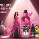 미스터로빈 이미지