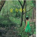 숲속에서 이미지