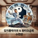 김지룡태극권