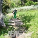 식산봉의 황근자생지 및 상록활엽수림 이미지
