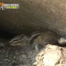 주천24