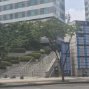 홍차이나 이미지