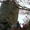 호권 Daum카페