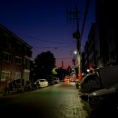 20대 자취 일기 59