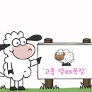 하빛율빠꿈사리 이미지