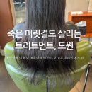 연남동 미용실 도원 유관쌤 트리트먼트 클리닉 후기
