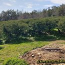 군내북초등학교 이미지