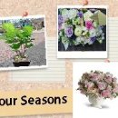 혜인산부인과의원 이미지