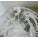 서른낙지