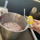 오리여행 이미지